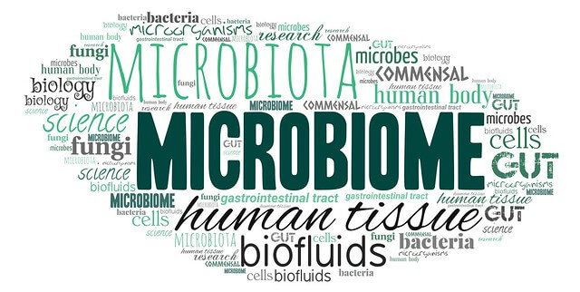 Learn How To Reboot Your Microbiome!